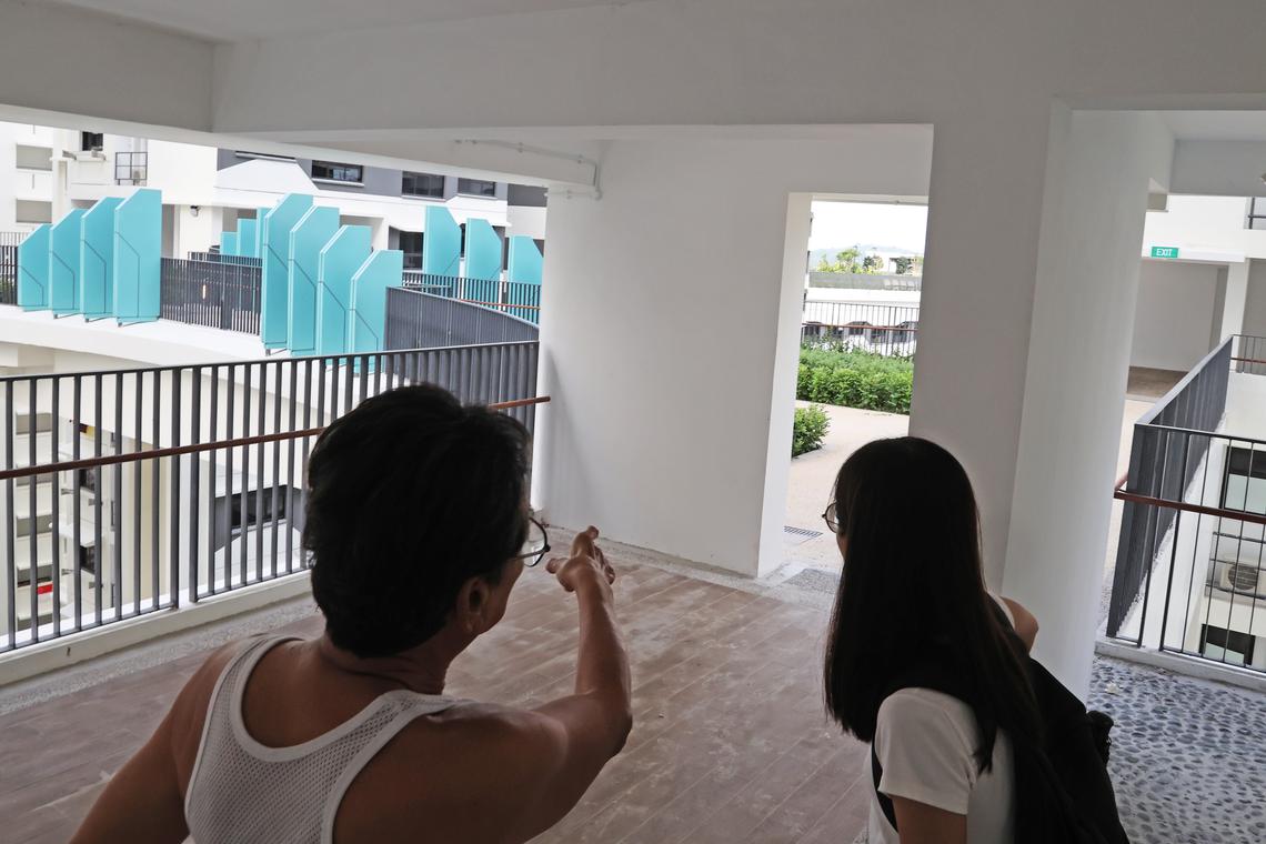 郑先生指打理花园的工作人员跟他说,空中花园的土壤是造成千足虫激增的原因。(蔡振鸿摄)