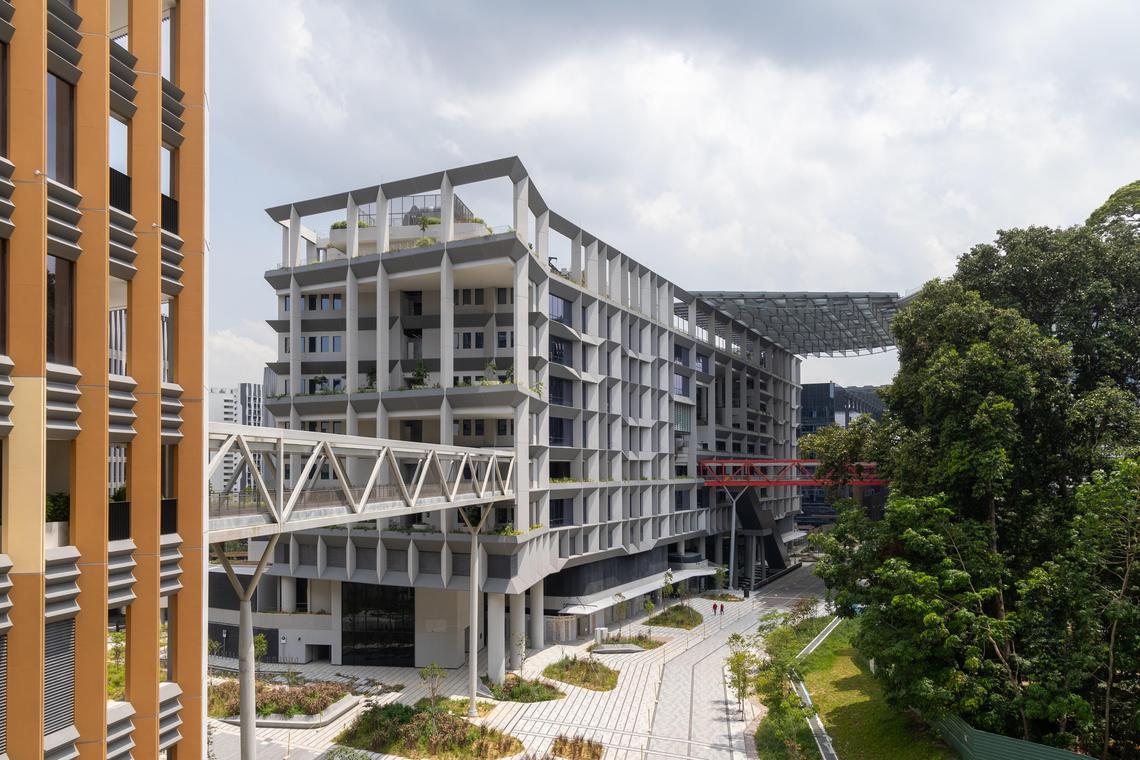 榜鹅数码园区占地50公顷,首个阶段有八栋楼,占地12公顷。(吴先邦摄)