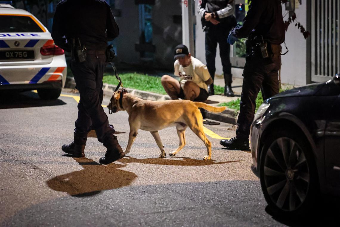 当局出动K9警犬,从车内和车尾箱搜出毒品。(张俊杰摄)