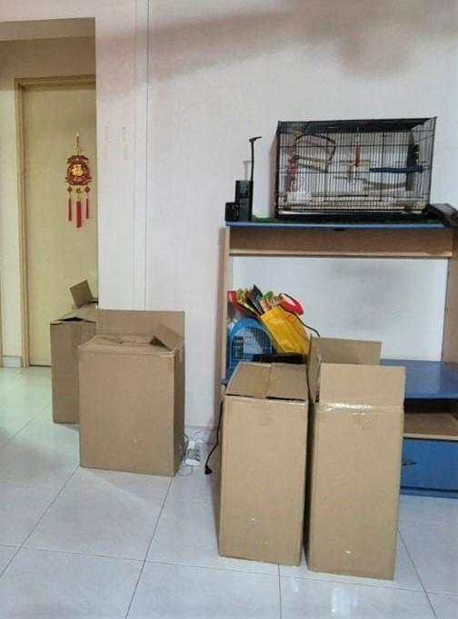 关税局人员逮捕电动脚踏车骑士后展开进一步调查,从附近一个组屋单位中搜出超过191条漏税香烟。(新加坡关税局提供)
