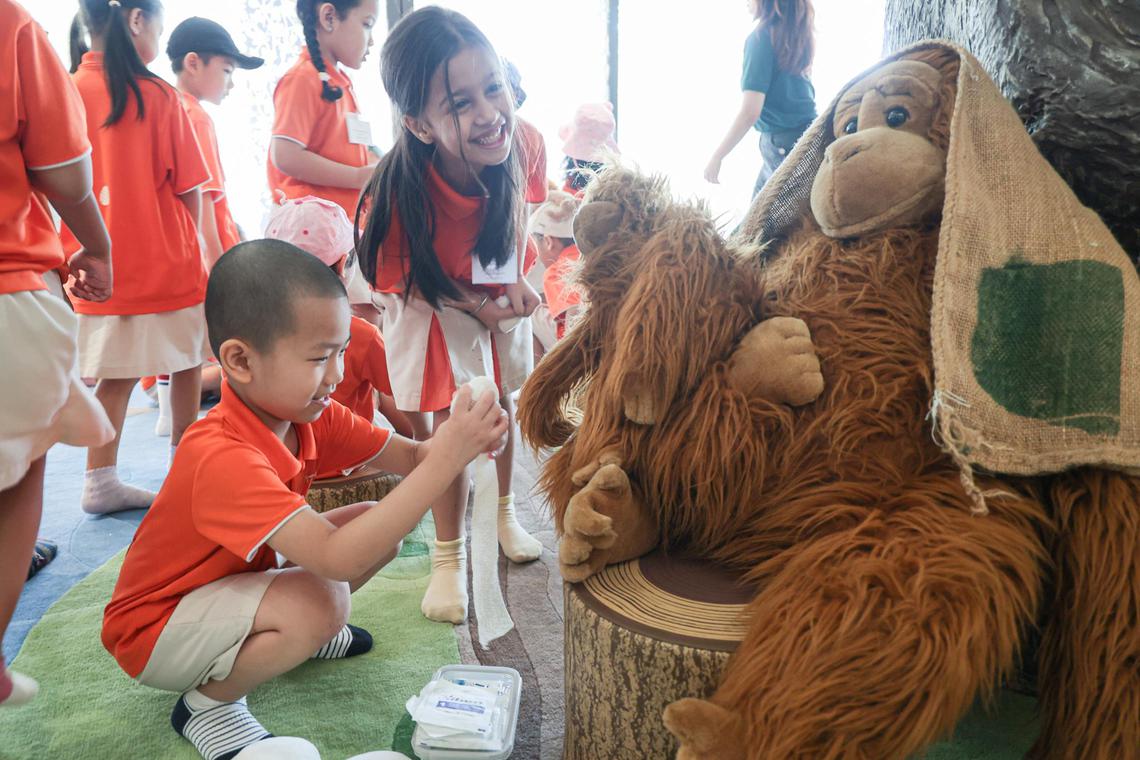 职总优儿学府幼乐园的学生围绕红毛猩猩绒毛玩具,参与模拟急救活动,使用纸板、树枝等自然材料“包扎伤口”。(李冠卫摄)