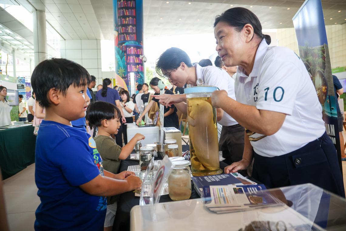 生物多元节由国家公园局和生物多样性圆桌会议(Biodiversity Roundtable)联办,这个周末(5月31日和6月1日)在国家图书馆大厦广场举行。开幕当天,有不少父母带小孩到现场,加深对本地生物多样性的认识。(蔡家增摄)