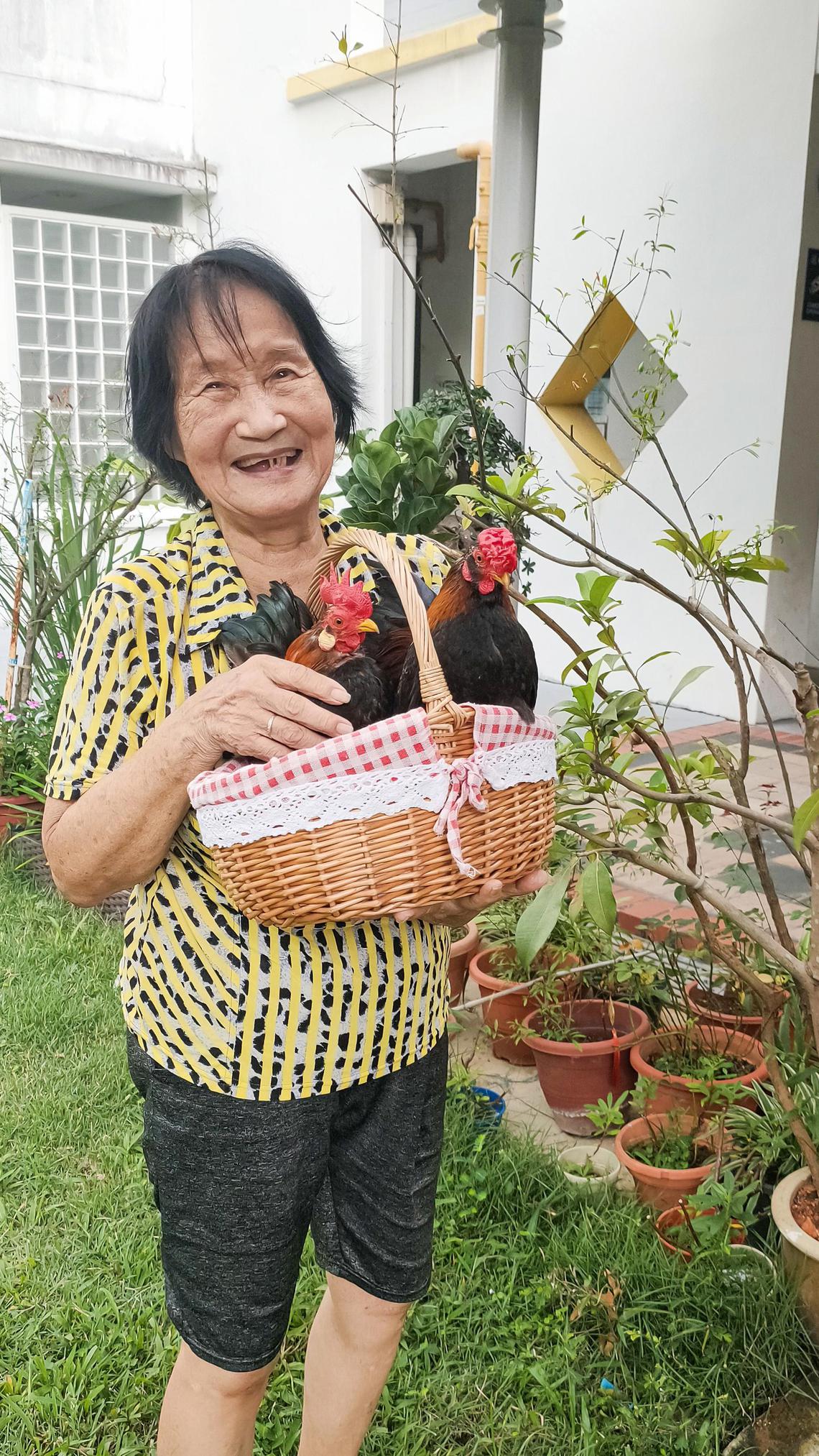 阿嫲梁莲英和两只“儿子鸡”合照时,笑容满面,时不时亲吻大啾啾和小啾啾,满是宠爱。(傅丽云摄)