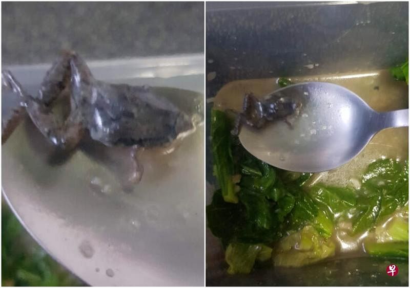 阿兹兰称，他拿了汤匙捞起最后一口蚝油炒芥兰，结果看见一个黑色的东西在汤汁，仔细一看是头部和四肢完整的小青蛙。（受访者提供）