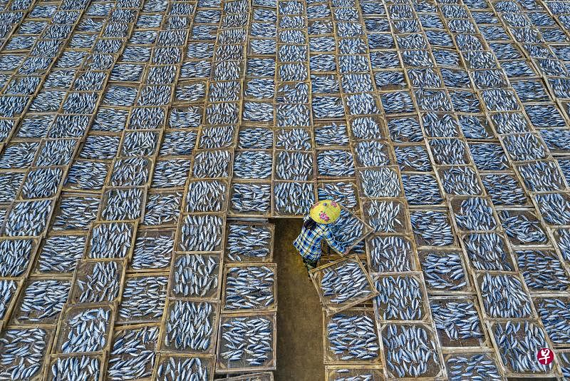 晒鱼（Drying Fish）／©Khanh Phan（越南）／旅游类别（世界摄影组织提供）