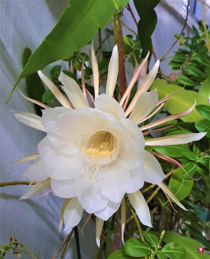 清哲摄影