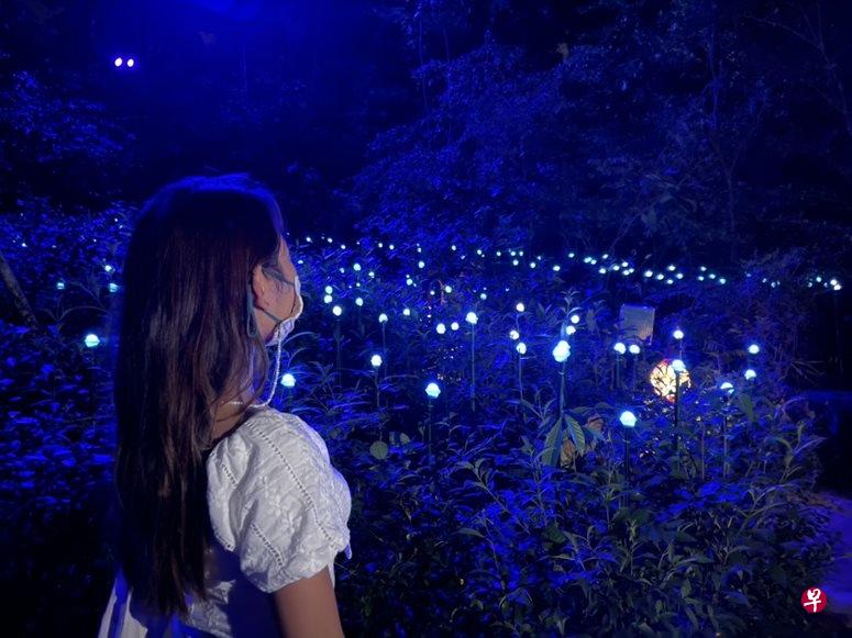 漫步野外，在“幻光雨林之夜”探索大自然故事和感官宝藏。（新加坡野生动物保育集团）