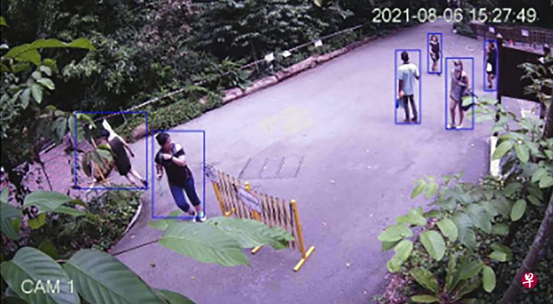 连接至safedistparks平台的闭路电视具备视频分析功能，一旦镜头探测到特定范围内的人数超过安全限制，系统就会自动发出提醒。（国家公园局、政府科技局提供）