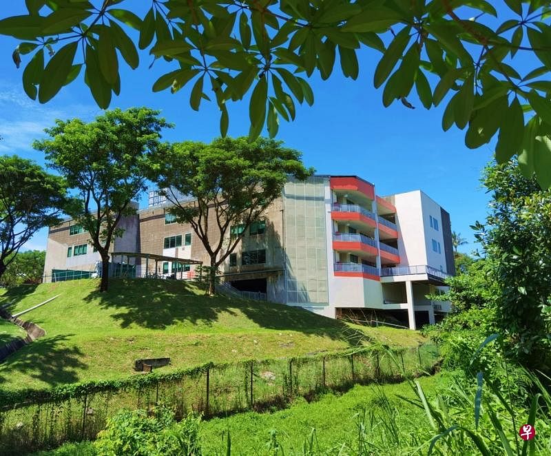 进入树林前，回头望见隔着沟渠与绿色走廊另一端的亚历山大医院。