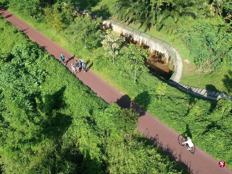 火车停驶，绿色走廊开辟，游人从汉杰巴回教堂旁边的小斜坡进入树林看倒下的大树。有人称之为“失落的方舟”或“失乐园”。