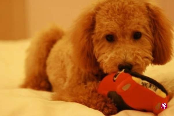 Barksdale小的時候。