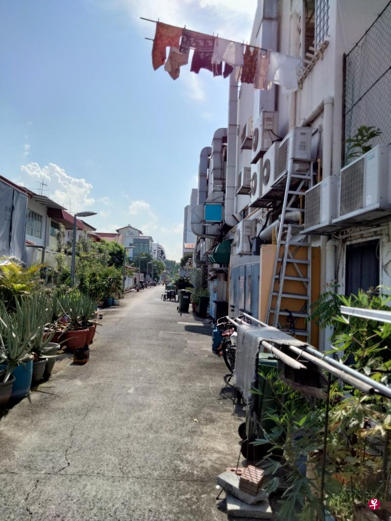 一竹竿的希望。