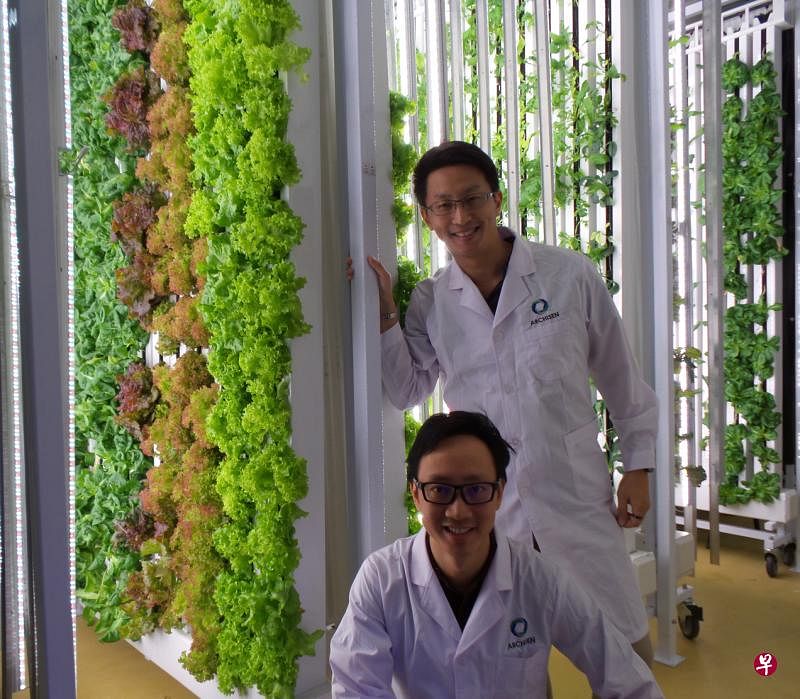 奥智生创办人魏仰生（前）和杨惠杰（后）想重新激活务农行业。（受访者提供）