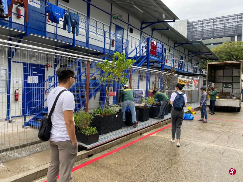 义工组织冠病19客工援助联盟通过“一起种植”（WeGarden）项目在客工宿舍内建造可食用花园，以绿意维护客工身心健康。（冠病19客工援助联盟提供）
