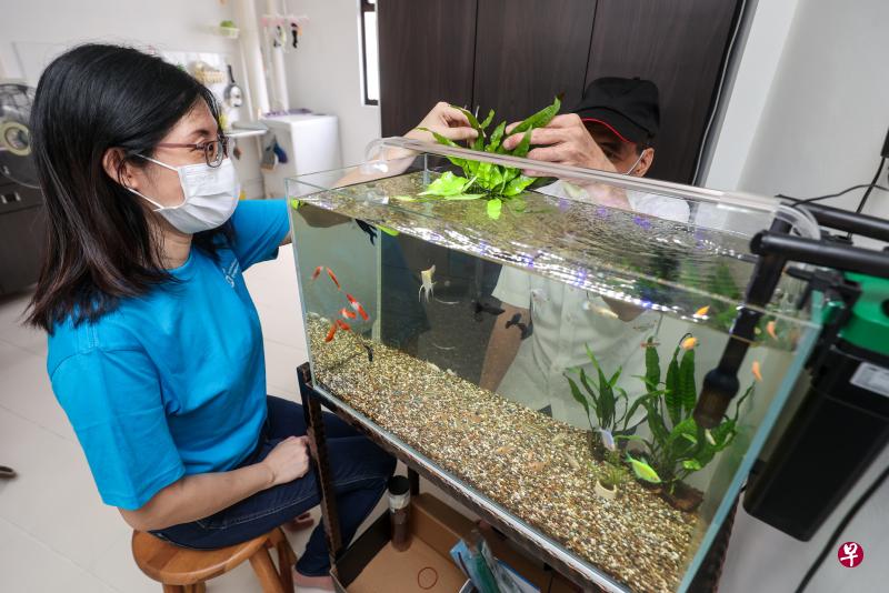 不想上镜的黄连火（右）感谢圆梦队帮他实现愿望，家里添了鱼缸后，感觉心情也开朗多了。能尽自己的一分力鼓励病患，义工邓小君（左）觉得很有意义。（陈斌勤摄）