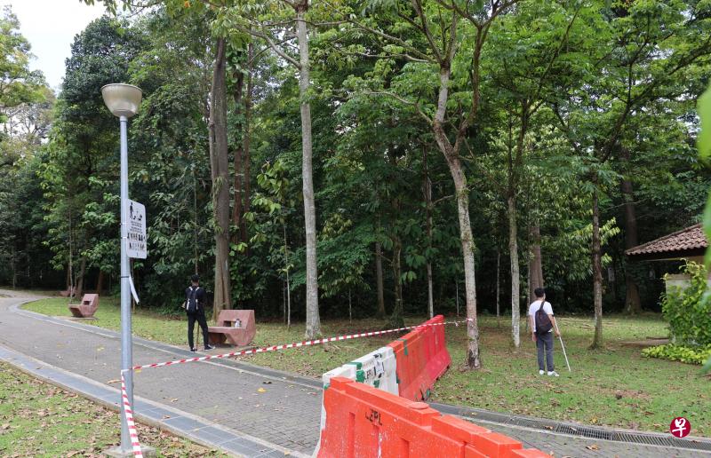 为保护居民安全，国家公园局在野猪伤人事件发生后暂时关闭义顺公园，以便当局在公园内搜捕野猪。（档案照片）