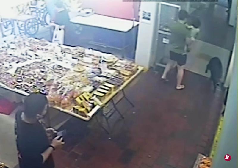 撞上三人后逃跑的野猪前天早上在义顺公园被捕，并已被人道毁灭。图为事发当天，野猪闯入人群的电眼画面。（档案照片）