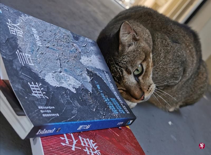 崔舜华诗集《无言歌》、散文集《猫在之地》与诗集《婀薄神》。（陈宇昕摄）