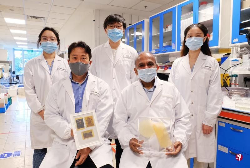 南洋理工大学研发花粉纸的团队包括博士生邓靖宇（左起）、材料科学与工程学院教授赵南俊、研究员赵泽博士、校长苏布拉·苏雷什教授、博士生邓紫玙。（南大提供）