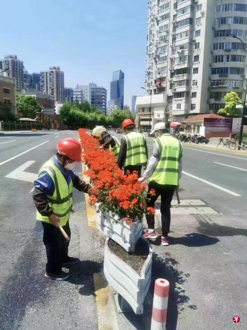 网传照片显示，上海园艺工人在市区主干道沿线布置鲜花，网民由此推测中央领导将在近期视察上海，宣布抗疫成功。（互联网）