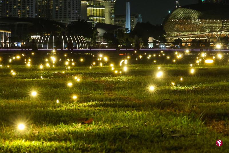 璀璨夺目的“Firefly Field”（萤火虫草原）利用500个光点，营造出“萤火虫”在夜晚照亮滨海湾中央岬的效果。