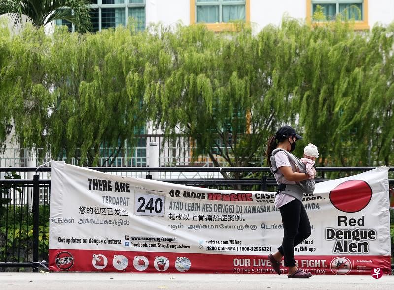 近期本地骨痛热症情况加剧，本地实验室利用白老鼠进行的试验显示，骨痛热症病毒与兹卡病毒一样可以穿过胎盘屏障。（档案照片）