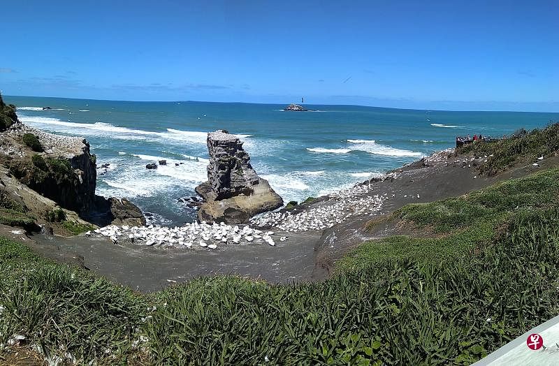 浪花、岩石、峭壁、塘鸟、观景的游人，组成一道无与伦比的新西兰海岸风光。（陈静芳／图）