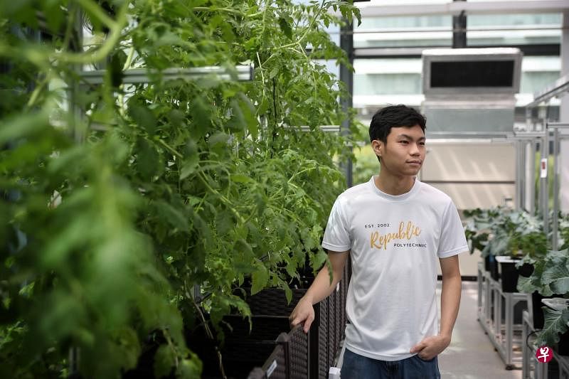 在共和理工学院修读生物技术专业文凭的三年级生杨立宏指出，绿智室为他在农业科技领域打开了一个全新的视角，加强他对这个领域的兴趣，希望以后自己能够参与一些农业科技方面的研究。（海峡时报）