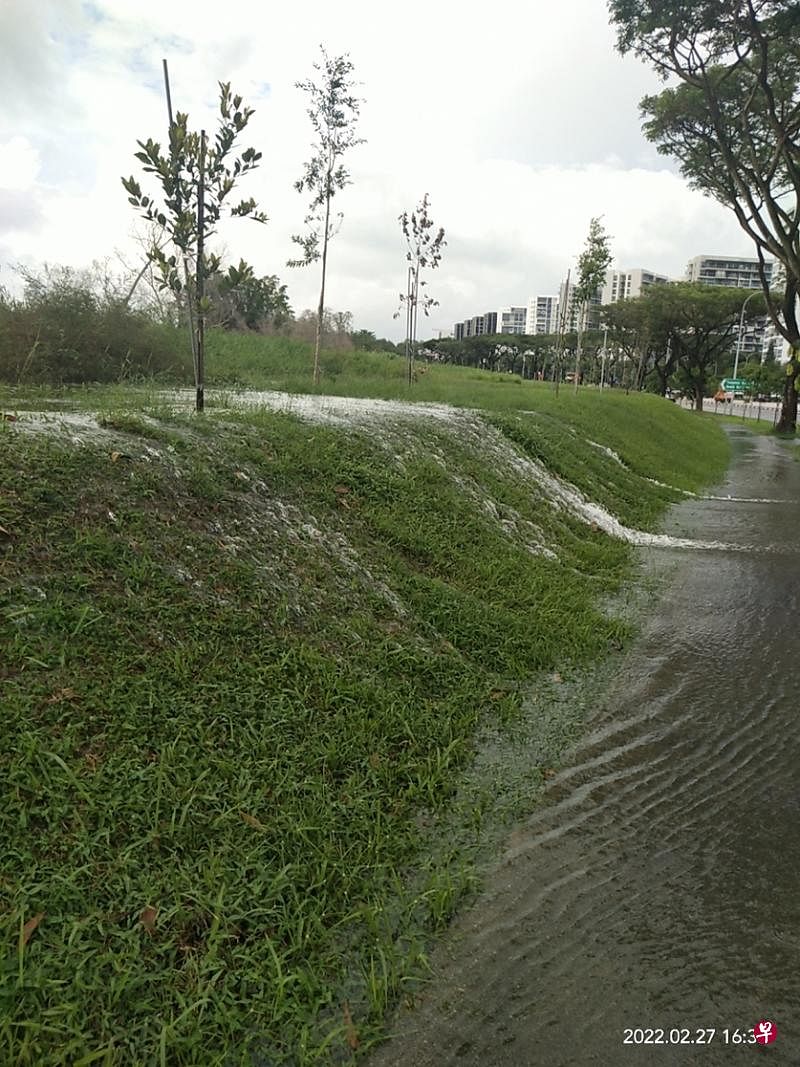 淡滨尼矿湖所收集的都是纯净的雨水，没理由任由它溢出而白白流失掉。（作者提供）