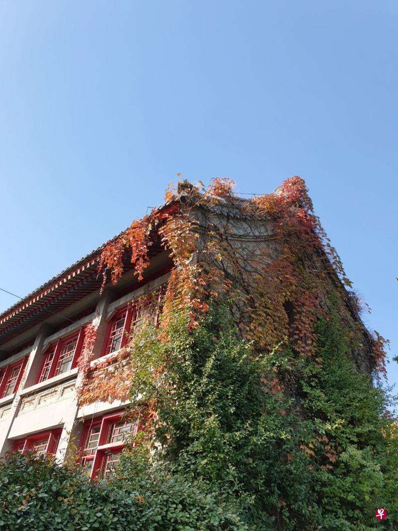 数年前的9月，秋高气爽，只身走入偌大的校园，内心既忐忑又期待。（作者提供）
