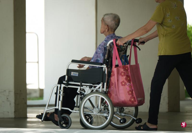 年长者看了医生完成体检后，如何查看那些跟进须知和追踪自己的健康进展？即使下载了HealthHub和Healthy 365应用，有多少人真的会用？（林泽锐摄）