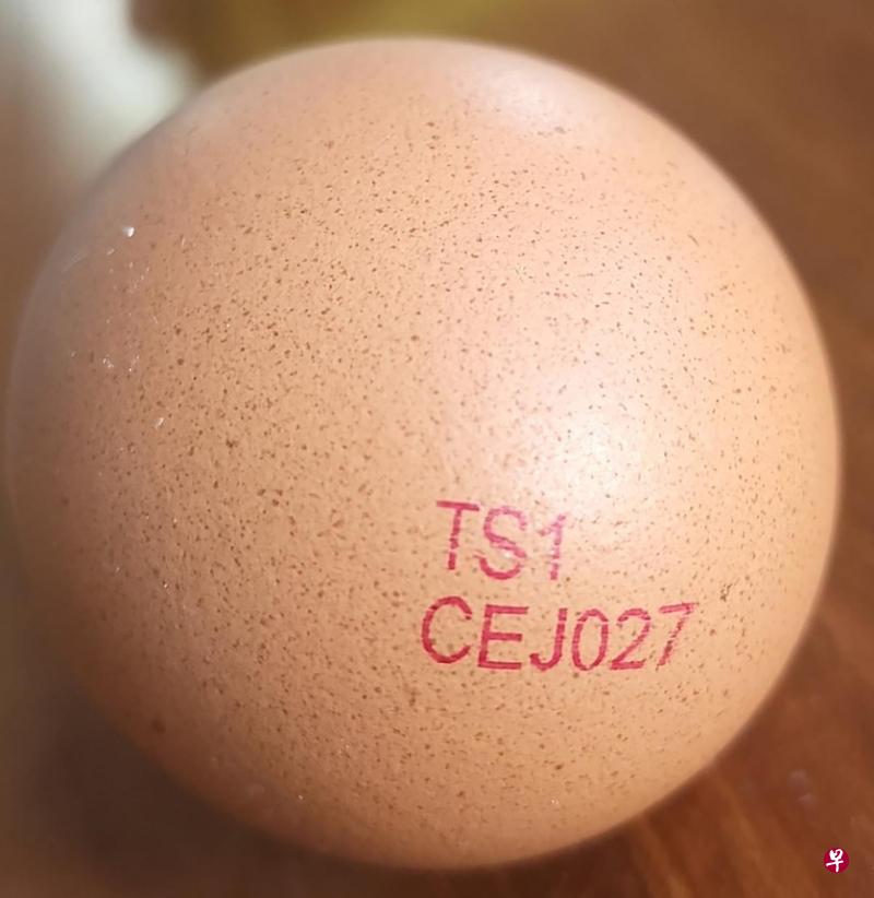 受影响的鸡蛋上印有“CEJ027”字样。（食品局提供）