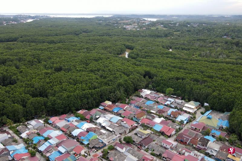 印尼总统佐科强调，新首都将会是一座“智能、绿色和清洁”城市，周围绿地会作为缓冲区保留下来。图为巴厘巴板民宅区，周围都是红树林。（法新社）