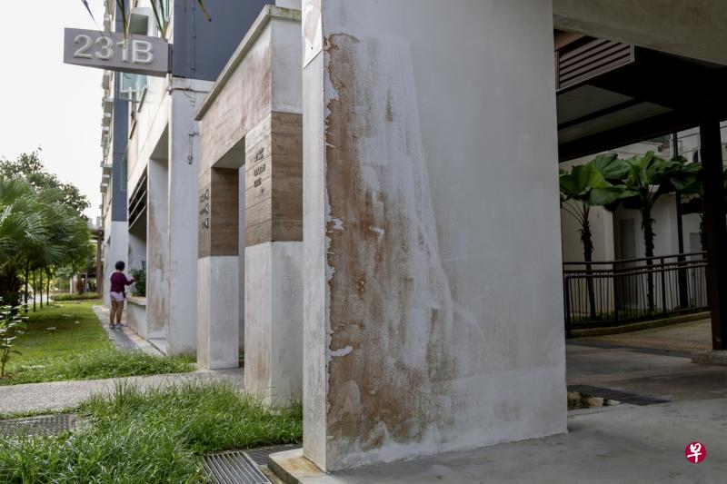 受访居民反映，虽然入住才五年，但组屋外墙已经斑驳发霉，感觉似乎在住老屋。（张思庆摄）