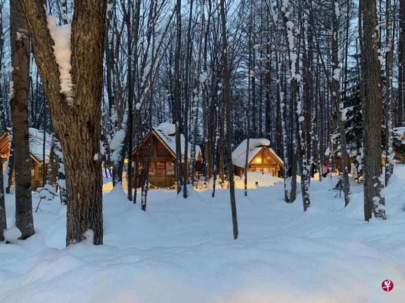 北海道富良野的精灵村白雪皑皑。（作者提供）