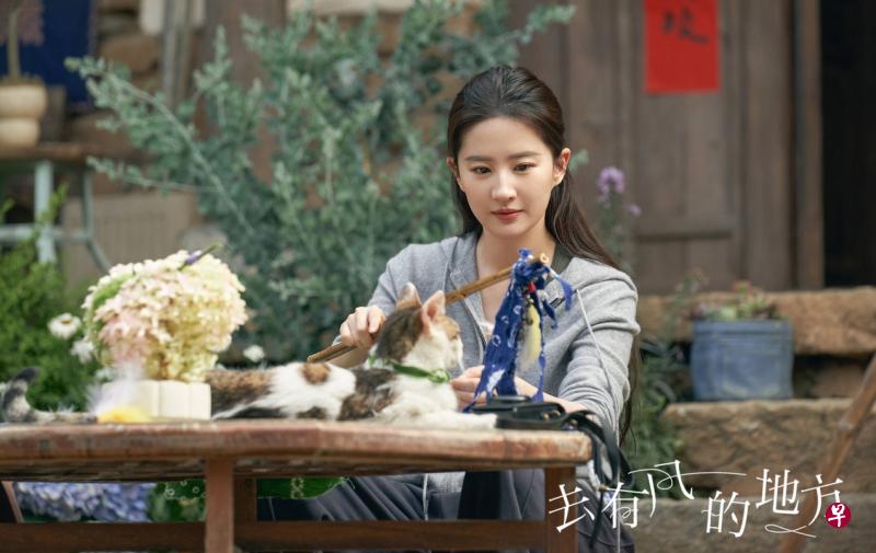 刘亦菲新剧剧照，演绎出了许多人向往的慢生活。（互联网）