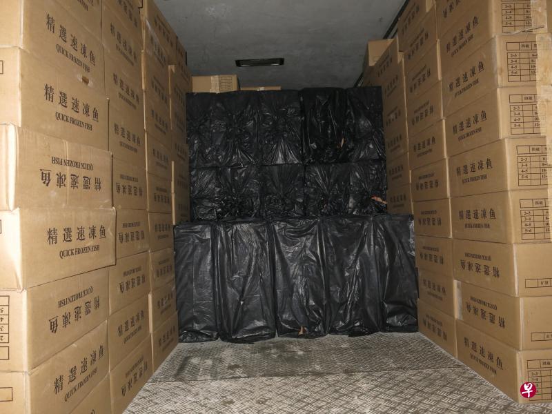 新加坡关税局在冷冻柜的一批冷冻鱼货中，搜出6400条漏税香烟。（关税局提供）