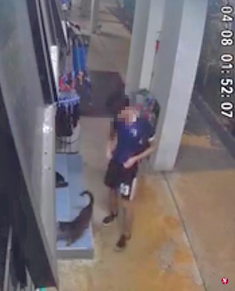 少年被指在凌晨时分趁四下无人时，在组屋走廊对一只猫做出猥亵举动。（互联网）