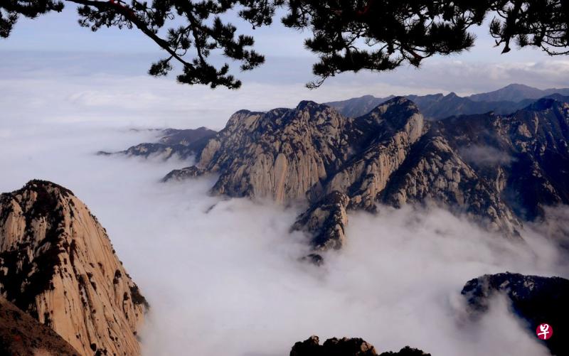中国的五岳之一，华山挺拔峻峭，被誉为“奇险天下第一山”。在金庸的小说世界里，华山很有武侠地位，一共举行过三次比武论剑。（互联网）