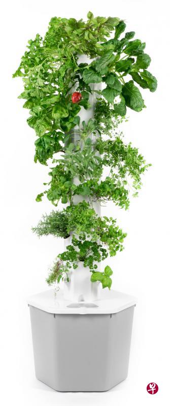 气耕种植塔占地空间少过1平方米，以垂直种植法在小空间种植出更多植物。（Aerospring Gardens提供）