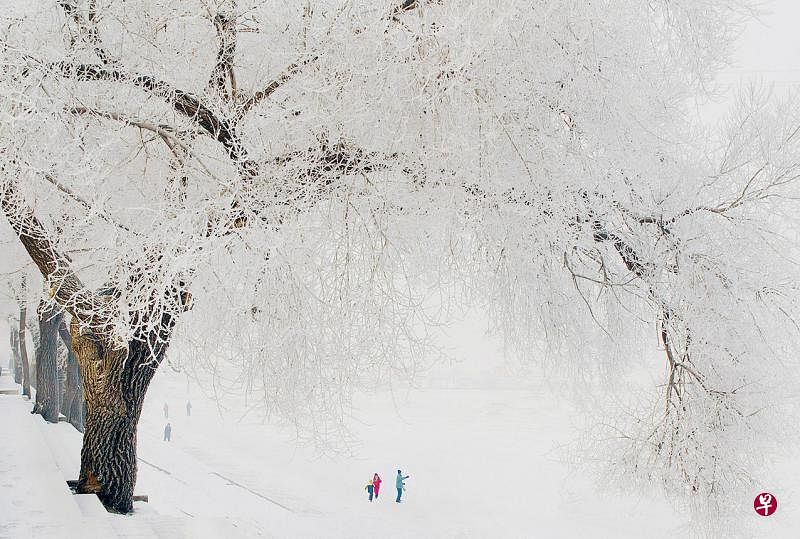 哈尔滨冰天雪地上的一抹缤纷色彩。