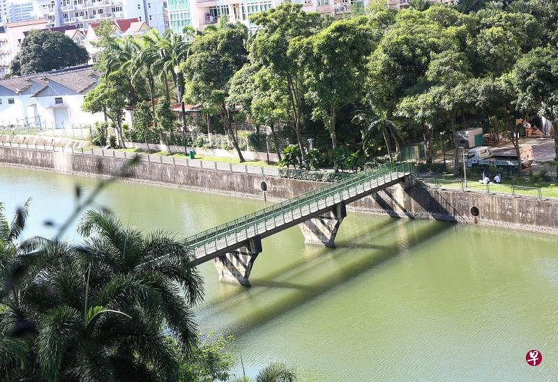 陈源兴在加冷河畔晨运时遭蜂群袭击。