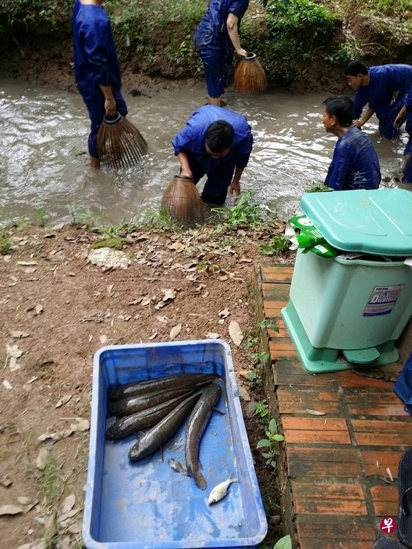 滑溜溜的泥鳅，好不容易才捉着。