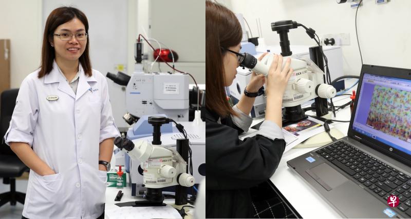 林馨敏专门进行文件鉴定，在显微镜下分析字迹、印刷术和印章等。