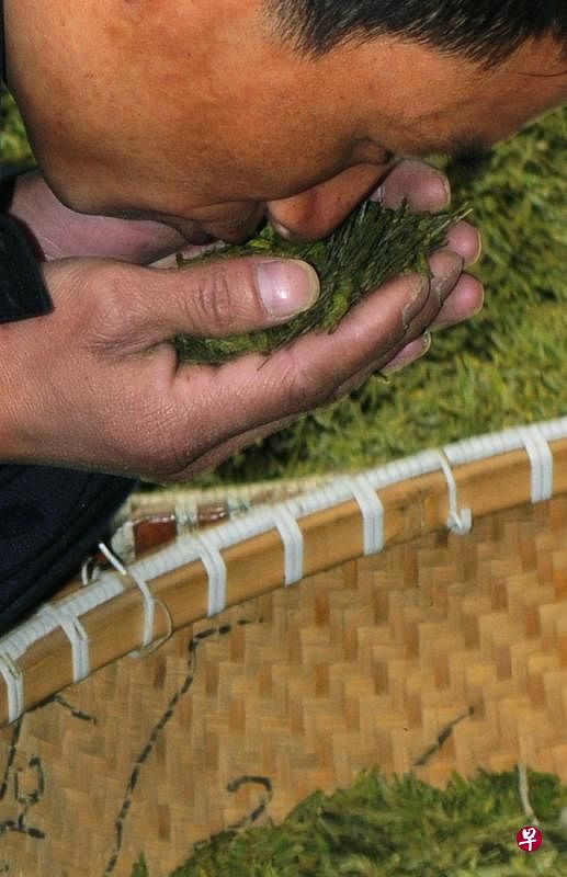 龙井茶品质的优劣要通过“望、闻、问、品”的数个程序才能鉴别出来。