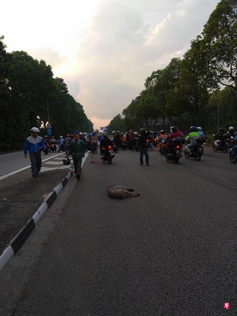 车祸发生在距离大士关卡约500公尺的路段。（取自面簿）