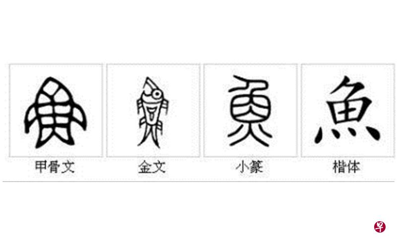 从原始人用来记事的简单图画，到兼具音、形、意、韵的独特文字，汉字算是世界上寿命最长的文字。（互联网）