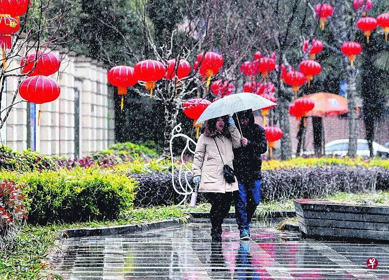 天上下着雨夹雪，出门就得打着一把雨伞。图为1月25日，行人走在雪中的上海市区一条步道上。（新华社）