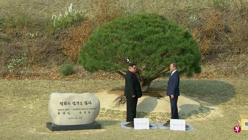 金正恩和文在寅在军事分界线共同种下一棵松树。（路透社）