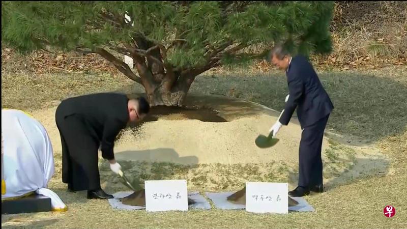金正恩和文在寅在军事分界线共同种下一棵松树。（路透社）